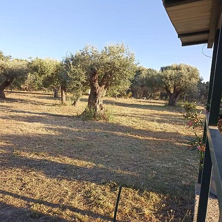 Relax E Tranquillita Villa Monasterace Exterior photo